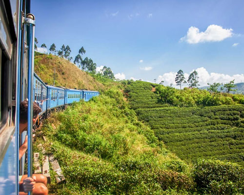 Lanka City Tours - Kandy to Nuwara Eliya Day Tour