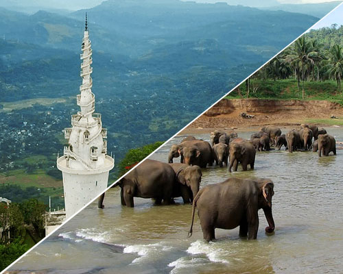 Lanka City Tours - Pinnawala and Ambuluwawa Tower